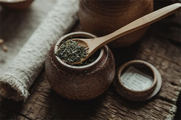 3年試した観葉植物スプレー DIY天然成分で葉のツヤと害虫対策！効果は？