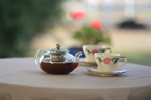 鹿茸菇の見分け方と安全な対処法｜庭に生えたらこうしよう！