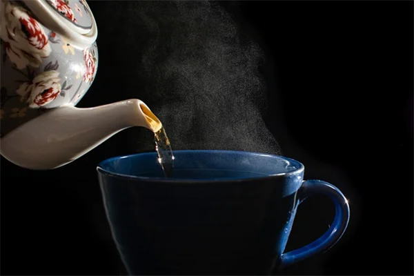 鹿茸菇の見分け方と安全な対処法｜庭に生えたらこうしよう！