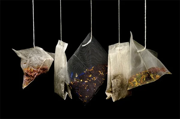紫陽花の品種選び、性格でわかる？あなたに合う一株の見つけ方