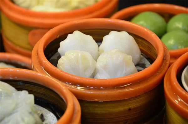 日陰の庭を明るく！低メンテナンス耐陰植物8選