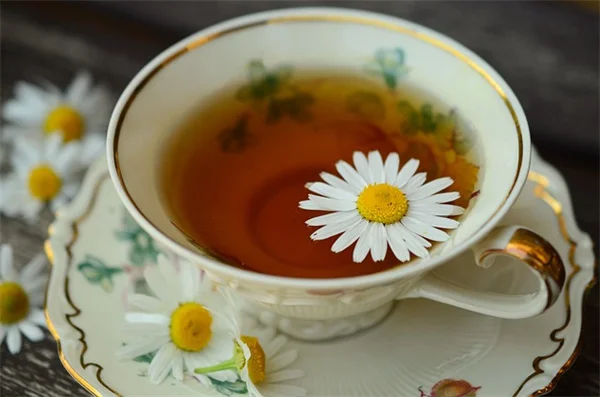 私の菜園で始めた鶏糞肥料の安全な使い方：3ヶ月熟成のコツ